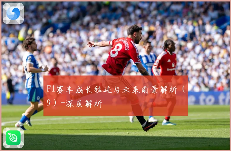 F1赛车成长轨迹与未来前景解析（9）-深度解析